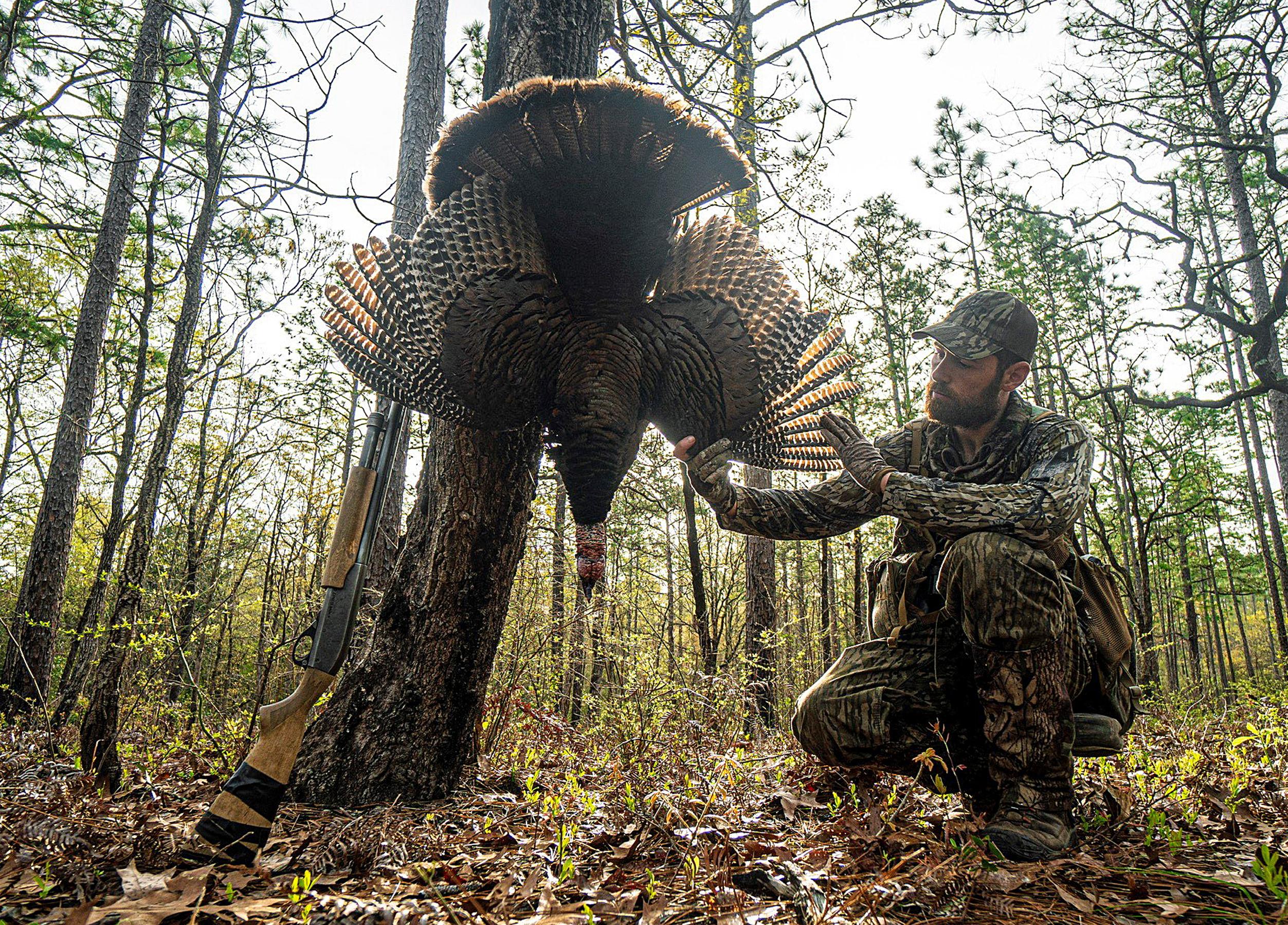 The Hunting Public Matches Wits with Alabama Turkeys Outdoor Alabama